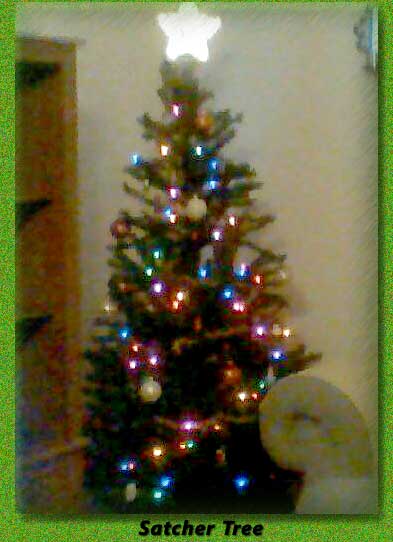 madasTree