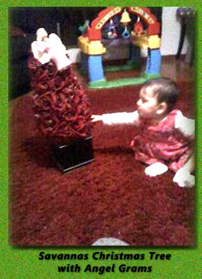 savannahsTree