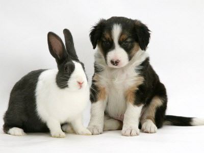 easter